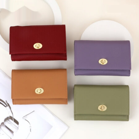 Luxury Leather Influencer-Style Womens Wallet With A Lock Closure